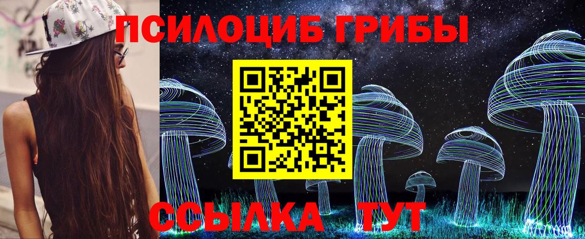 Нижневартовск  наркошоп  Вход с VPN  Псилоцибиновые грибы Psilocybine cubensis 